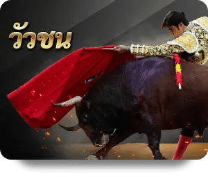 วัวชน