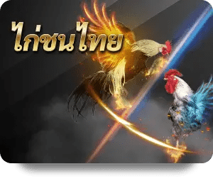ไก่ชนไทย