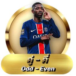 คู่คี่